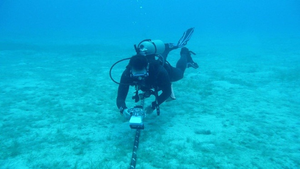 Cáp quang đứt, người dùng thiệt hại: Có được bồi thường, giảm cước?