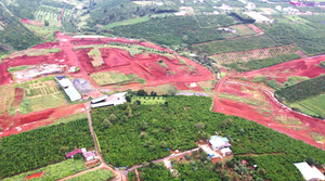 Chủ tịch Lâm Đồng: Có lợi ích nhóm, lợi ích cá nhân trong cơn sốt xẻ đồi phân lô