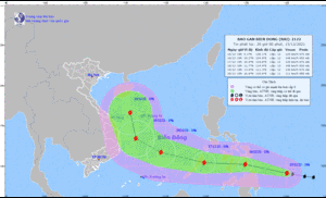 Bão số 9 đổ bộ gây thiệt hại trên các đảo ở Trường Sa
