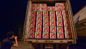 Lạng Sơn tiếp tục dừng nhận xe chở hoa quả tươi lên cửa khẩu