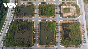 TP.HCM sẽ đấu giá lại lô đất Tân Hoàng Minh bỏ cọc tại Thủ Thiêm