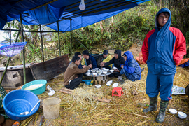 Rét hại, băng giá kỷ lục ở miền Bắc làm gần 1.600 gia súc bị chết