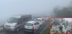 Rét hại, băng giá kỷ lục ở miền Bắc làm gần 1.600 gia súc bị chết