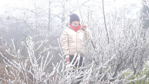 Rét hại, băng giá kỷ lục ở miền Bắc làm gần 1.600 gia súc bị chết