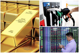 Thị trường thế giới chao đảo sau xung đột Nga-Ukraine, Việt Nam có bị ảnh hưởng?