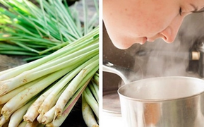 Uống Molnupiravir trước hay sau ăn?