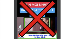 Bà Nguyễn Phương Hằng bị khởi tố, bắt giam từ đơn tố cáo của ai?