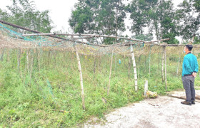 Kiếm hàng trăm triệu chỉ trong nháy mắt, cò đất dùng những chiêu gì?