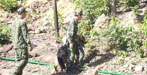 Bố mẹ Triệu Quân Sự mong con cải tạo tốt để được hưởng khoan hồng