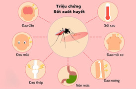 Thêm người tử vong do sốt xuất huyết, hãy dành 10 phút để bảo vệ gia đình 