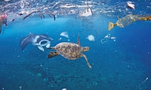 Báo chí đóng vai trò quan trọng trong việc giảm thiểu 'ô nhiễm trắng' đại dương