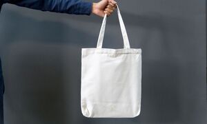 4 giải pháp thay thế túi nilon dùng một lần