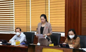 ĐBQH: Đang tồn tại nhiều ban chỉ đạo phòng chống thiên tai, sự cố gây lãng phí