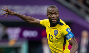 Xem trực tiếp bóng đá Hà Lan vs Ecuador trên kênh nào?