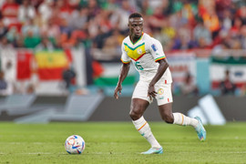 Xem trực tiếp bóng đá Qatar vs Senegal trên kênh nào?