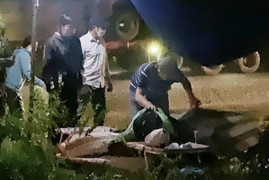 Bộ Giao thông Vận tải đồng thuận với đề xuất bắt buộc lắp camera lùi cho ô tô