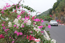 OneWay Marathon 2022: Khởi đầu tiềm năng