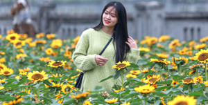 Gần 100.000 lượt người dự lễ hội hoa Mê Linh 2022