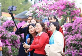 Gần 100.000 lượt người dự lễ hội hoa Mê Linh 2022