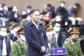 Cựu Chủ tịch AIC Nguyễn Thị Thanh Nhàn lĩnh 30 năm tù