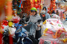 Tết muộn của người bán hoa, cây cảnh