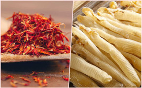 Tết muộn của người bán hoa, cây cảnh