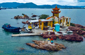 Sương mù giăng lối, người dân phố biển Quy Nhơn ngỡ đang ‘lạc bước’ Đà Lạt