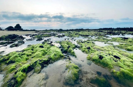 Sương mù giăng lối, người dân phố biển Quy Nhơn ngỡ đang ‘lạc bước’ Đà Lạt