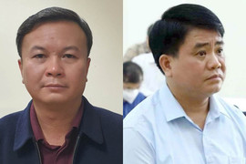 Điều tra bổ sung vụ 'thổi giá' cây xanh liên quan ông Nguyễn Đức Chung