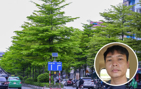 Điều tra bổ sung vụ 'thổi giá' cây xanh liên quan ông Nguyễn Đức Chung