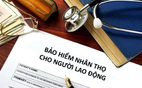 Diễn viên Ngọc Lan đáp trả khi bị chỉ trích 'diễn vụ bảo hiểm'