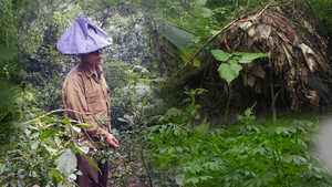 Bí ẩn bên trong ngôi nhà tôn xanh của gia đình 'âm binh'