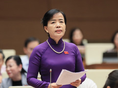 ĐBQH đề xuất 'trả' quyền chọn sách giáo khoa cho giáo viên, tránh lợi ích nhóm