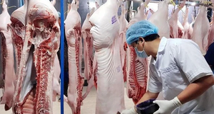 Bổ sung thịt heo vào danh mục các mặt hàng bình ổn giá trong trường hợp khẩn cấp