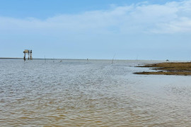Vụ học sinh tử vong khi bắt ngao: Các tàu kinh doanh tự phát, mạnh ai nấy làm
