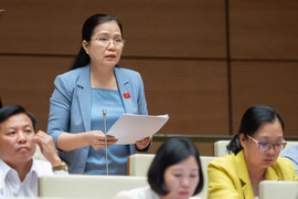 Đại biểu Quốc hội: Tăng giá điện do EVN lỗ lớn là chưa phù hợp