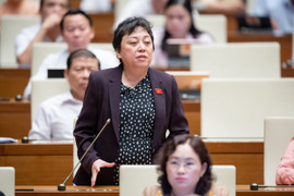 ĐBQH: Số lượng cán bộ y tế phải trả giá cho đại dịch COVID-19 quá lớn