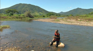 300 con cừu đeo nơ trình diễn 'catwalk' trên phố tại Ninh Thuận