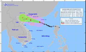 Lý giải nguyên nhân bão số 1 đi lệch so với những dự báo trước đó