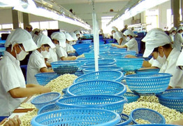 Thủ tướng chỉ đạo xử lý khẩn vụ 4 container nông sản bị mất khi xuất sang UAE