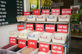 Lãnh đạo Cục Trồng trọt: 'Nguồn hàng lúa gạo trong nước vẫn dồi dào'