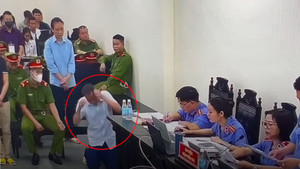 Vụ 'thổi giá' cây xanh: Cựu Chủ tịch Hà Nội Nguyễn Đức Chung lĩnh 18 tháng tù