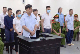 Vụ 'thổi giá' cây xanh: Cựu Chủ tịch Hà Nội Nguyễn Đức Chung lĩnh 18 tháng tù