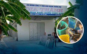 NAFI chỉ đạo khẩn sau loạt bài 'Cua Cà Mau thần tốc qua biên giới' của VTC News