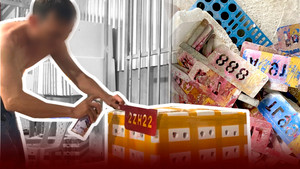 NAFI chỉ đạo khẩn sau loạt bài 'Cua Cà Mau thần tốc qua biên giới' của VTC News