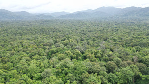 Bí thư Bình Thuận: Nếu dự án hồ Ka Pét gây hại môi trường, tỉnh không che giấu