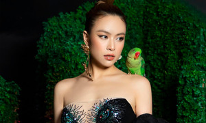 Sau ồn ào phát ngôn, tình hình bán vé của show Hoàng Thùy Linh thế nào?