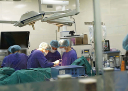 Khởi tố 6 cựu cán bộ liên quan vụ cháy chung cư mini ở Hà Nội