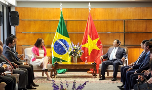 Thủ tướng Phạm Minh Chính hội đàm Tổng thống Brazil