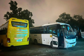 Phó Giám đốc Công ty Thành Bưởi đối diện với án phạt nào?